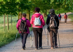 V prestolnici se začenja tradicionalna prireditev Pot ob žici
