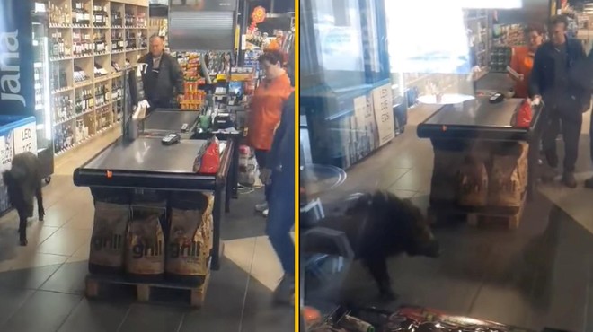 VIDEO: Nenavaden kupec v trgovini je poskrbel za pravo razburjenje med policami (foto: Facebook/Tijana Novaković/posnetek zaslona)