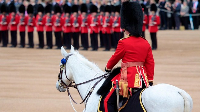 Znano je, kateri konji bodo na kronanju britanskega kralja (eden je prav poseben) (foto: Profimedia)
