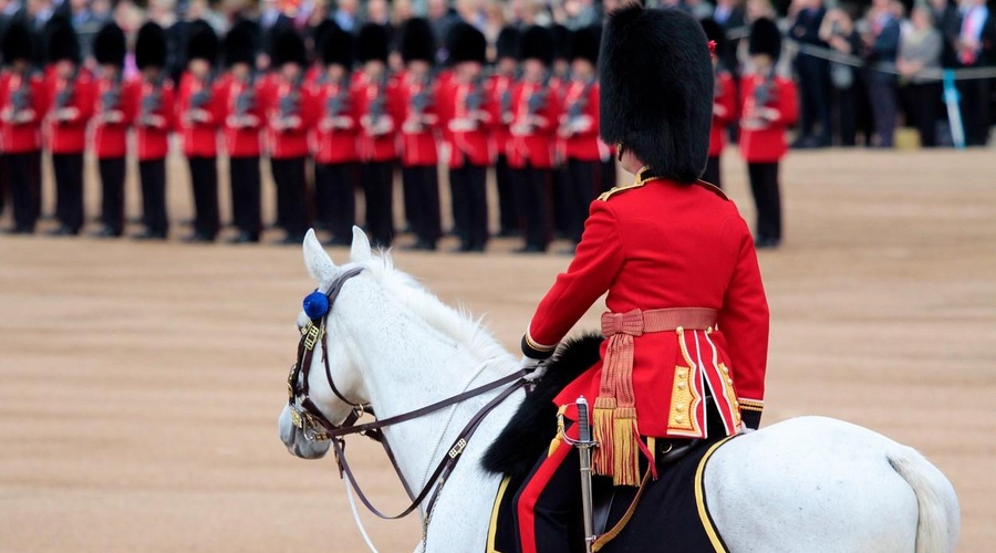 Znano je, kateri konji bodo na kronanju britanskega kralja (eden je prav poseben) (foto: Profimedia)