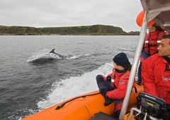 V morju pri Piranu reševali delfina (VIDEO)