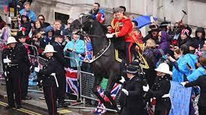 Ni šlo po načrtih: konj na kronanju trčil v množico (VIDEO) (foto: Posnetek zaslona/Royal Family Channel)