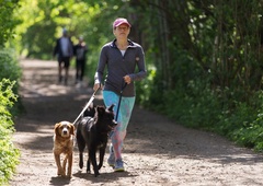 "Akita jo je tako raztrgala, da smo jo morali dati pod anestezijo." Pasji lastniki, kje je vaša odgovornost?