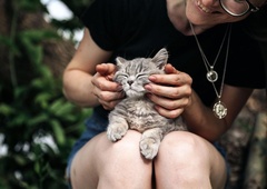 To so znaki, da je vaša mačka srečna