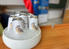 Na pločevinkah slovenskega piva upodobljene živali: to je žalosten razlog, ki se skriva za tem