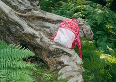 Čudež v gozdu: štirje otroci brez mame preživeli kar 17 dni (med njimi tudi dojenček)