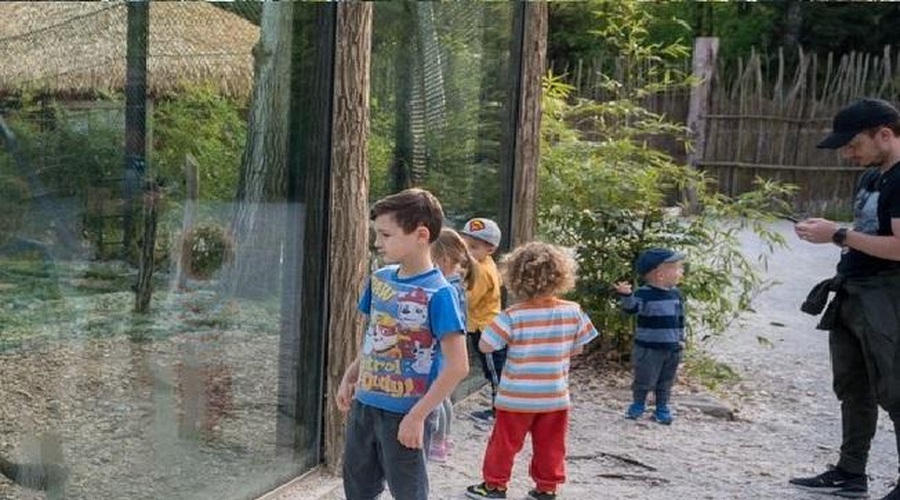 V ZOO Ljubljana se veselijo novih mladičkov (VIDEO) (foto: Profimedia)