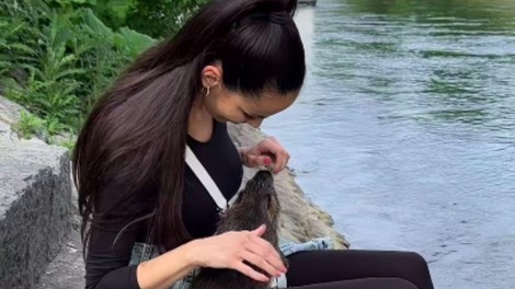 Je Tina Gaber rešila nutrije?! Golobova izbranka slavi majhno zmago, toda lovci sporočajo, da ...