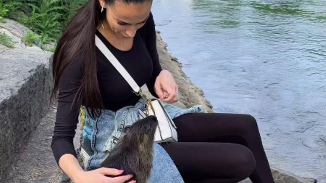 Tina Gaber ob Ljubljanici božala nutrije, zdaj ji grozi ... kazen! (poglejte, kolikšna) (foto: Instagram/Tina Gaber/posnetek zaslona)