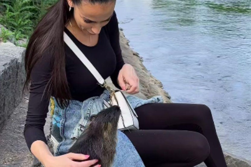 Po borbi za nutrije Tina Gaber nadaljuje boj za dobrobit živali: tokrat želi pravice izboriti ... kokošim (foto: Instagram/Tina Gaber/posnetek zaslona)