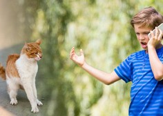 Iz slovenske šole: otrok je brcnil mačka, učiteljica ga je okarala, starši pa …