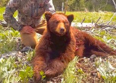 Znani športnik razjezil svoje oboževalce: na lovu ubil medveda in ponosno poziral ob truplu (FOTO)