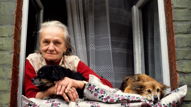 108 let stara Britanka delila skrivnost dolgoživosti in ta je povezana s psi! (foto: Profimedia)