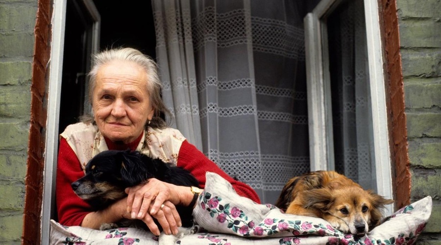 108 let stara Britanka delila skrivnost dolgoživosti in ta je povezana s psi! (foto: Profimedia)