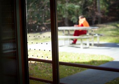 Deinstitucionalizacija psihiatrije v Evropi: ITALIJA je s svojo reformo (in REZULTATI) lahko velik zgled