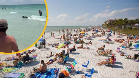 Neverjetno: iz morja na obljudeni plaži priplaval – črn medved! (VIDEO)