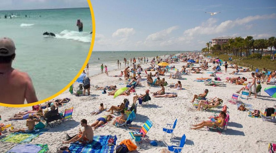 Neverjetno: iz morja na obljudeni plaži priplaval – črn medved! (VIDEO) (foto: Profimedia/fotomontaža)
