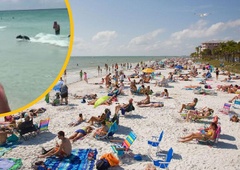 Neverjetno: iz morja na obljudeni plaži priplaval – črn medved! (VIDEO)