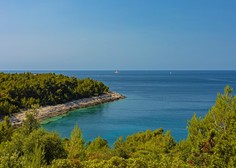 Prepovedano kopanje: morje na priljubljeni plaži v Istri hudo onesnaženo