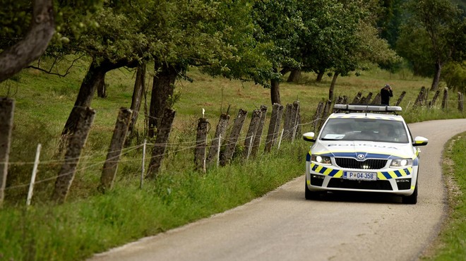 Pozor: policisti bodo to noč postavili 60 nadzornih točk (foto: Žiga Živulović j.r./Bobo)