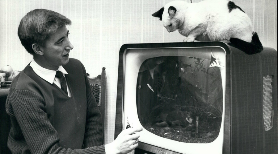 Slovenci že 65 let plačujemo za televizijski program: izvedeli smo, kdo se je v zgodovino zapisal kot prvi naročnik (foto: Profimedia)