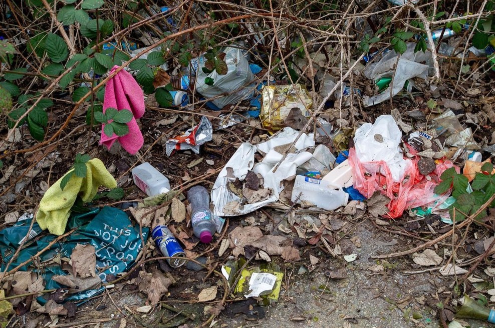 Fotografija je simbolična. (foto: Profimedia)