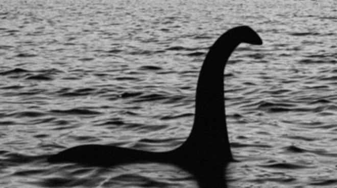 Profesor je prepričan, da je pošast iz Loch Nessa v bistvu kitov penis (foto: Twitter/Prof. Michael Sweet)