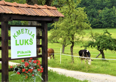 Obiskali smo kmetijo Lukš v bližini Ljubljane in preverili, zakaj vse več podjetij pri njih organizira piknike