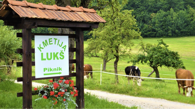 Obiskali smo kmetijo Lukš v bližini Ljubljane in preverili, zakaj vse več podjetij pri njih organizira piknike (foto: Kmetija Lukš)