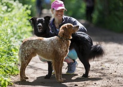 Ne boste verjeli, kaj zelo dobro vpliva na pasje zdravje in dolgoživost (ključnih več dejavnikov)