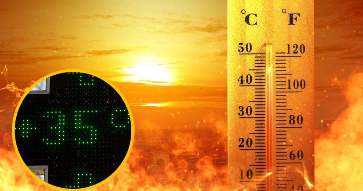 rekordbox｜DJ software for professional DJs visual data 8