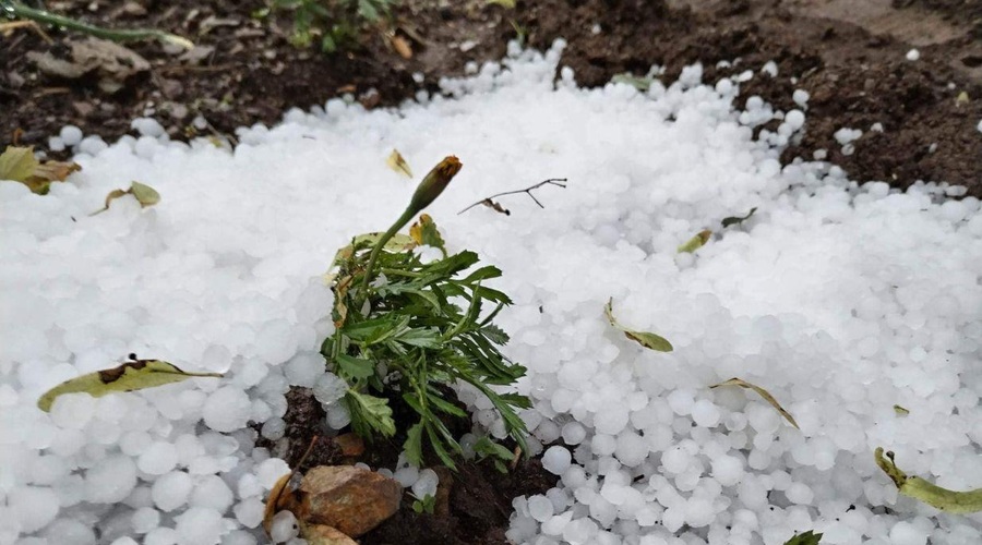 Najhuje je bilo na severovzhodu Slovenije: toča, podrta drevesa, poplavljene hiše ... (FOTO) (foto: Facebook/Neurje.si)