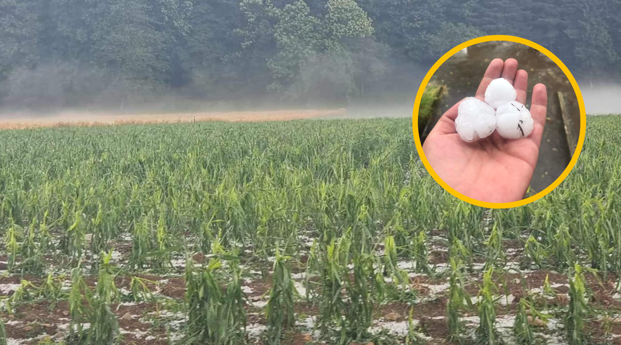 Toča na Gorenjskem popolnoma uničila poljščine: nevihta se že premika na drug del države (FOTO in VIDEO) (foto: Facebook/Neurje.si/fotomontaža)