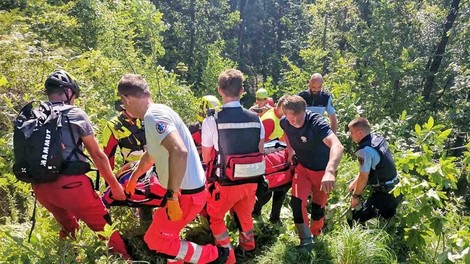 Pogrešano osebo so po štirih dneh našli v gozdu