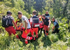 Pogrešano osebo so po štirih dneh našli v gozdu