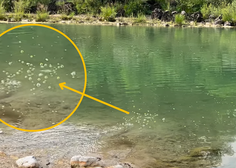 Na reki Soči se je pojavila bela pena (prebivalci zaradi onesnaženja zelo zaskrbljeni)