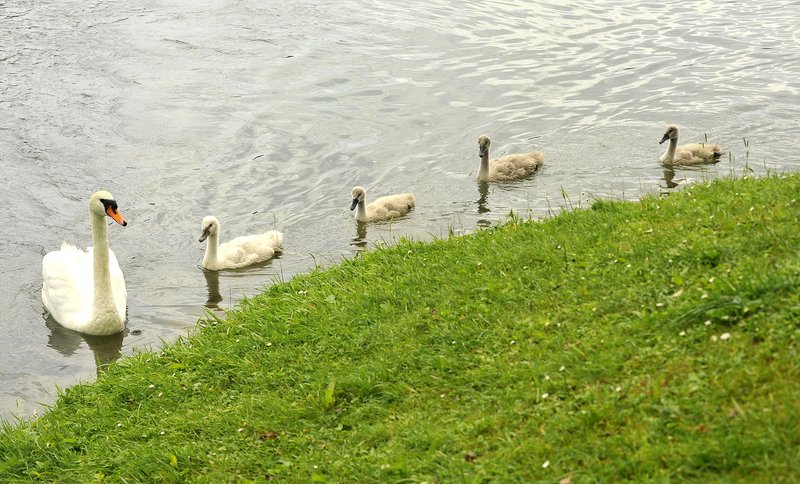 Fotografija je simbolična.