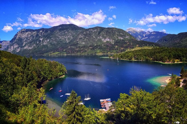 Pogin psa po kopanju v Bohinjskem jezeru: pristojni preiskujejo okoliščine dogodka