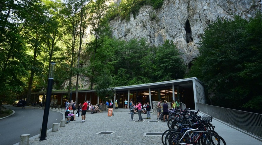 Mama se je z dvema otrokoma pognala v smrt (zgodilo se je na priljubljeni turistični točki) (foto: Profimedia)