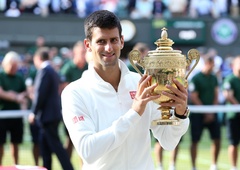 Veste, zakaj je na vrhu pokala, ki ga podelijo v Wimbledonu, ananas?