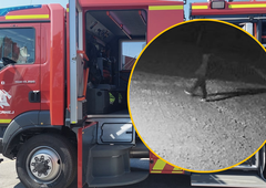 Saj ni res, pa je: vlomili v gasilski dom in okradli prostovoljne gasilce (posnele so jih varnostne kamere)