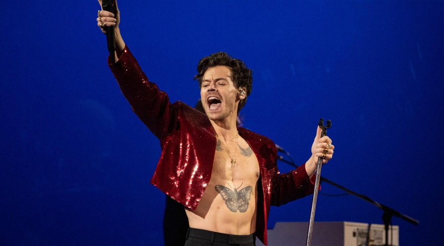 Kaj se dogaja?! Zvezdniki na koncertih vse bolj prestrašeni, zadnja žrtev Harry Styles (foto: Profimedia)