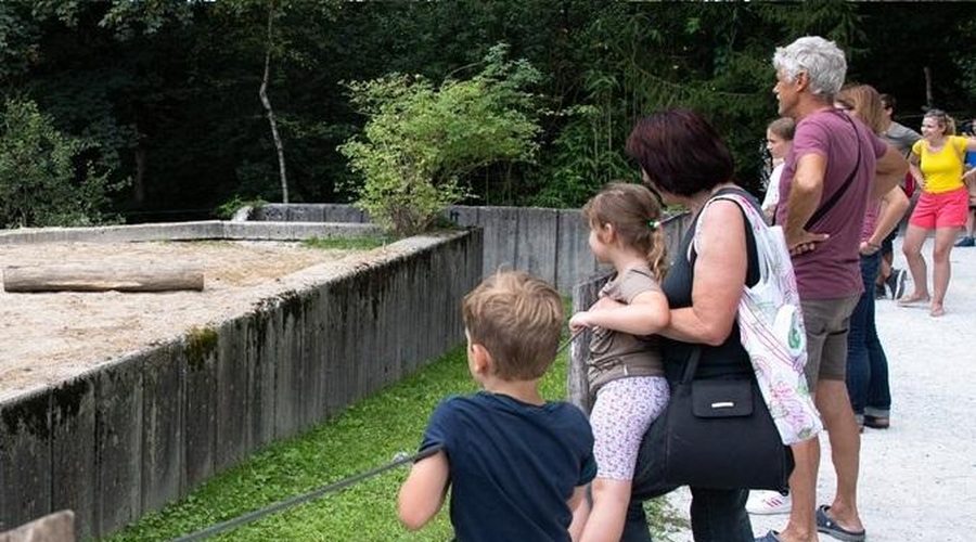 V Ljubljana ZOO se veselijo podmladka: ''Pozdravljen v čredo!'' (VIDEO) (foto: Profimedia)