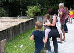 V Ljubljana ZOO se veselijo podmladka: ''Pozdravljen v čredo!'' (VIDEO)