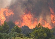 Na Hrvaškem divja obsežen požar, na območju požara izključili elektriko (VIDEO)