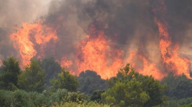 Na Hrvaškem divja obsežen požar, na območju požara izključili elektriko (VIDEO) (foto: Instagram/dnevnikhr)