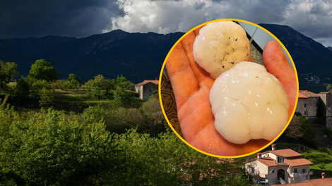 FOTO: Sodni dan v Sloveniji: padala kot pest debela toča, orkanski veter rušil drevesa in odkrival strehe