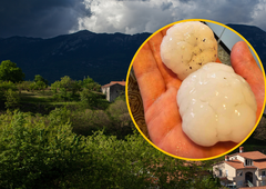 FOTO: Sodni dan v Sloveniji: padala kot pest debela toča, orkanski veter rušil drevesa in odkrival strehe