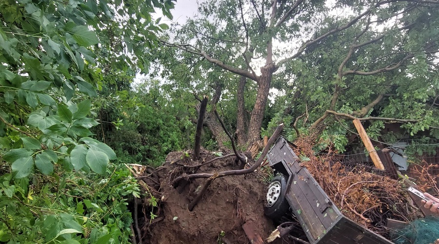 Posledice neurja v Murski Soboti. (foto: Tadej Kirincic/Bobo)