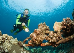 Potapljači naleteli na velikansko 'ribo sodnega dne' in jo celo posneli (VIDEO)